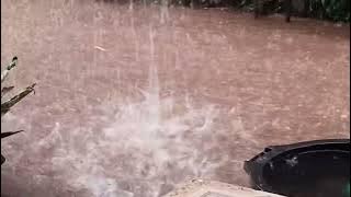 the sound of heavy rain in the yard