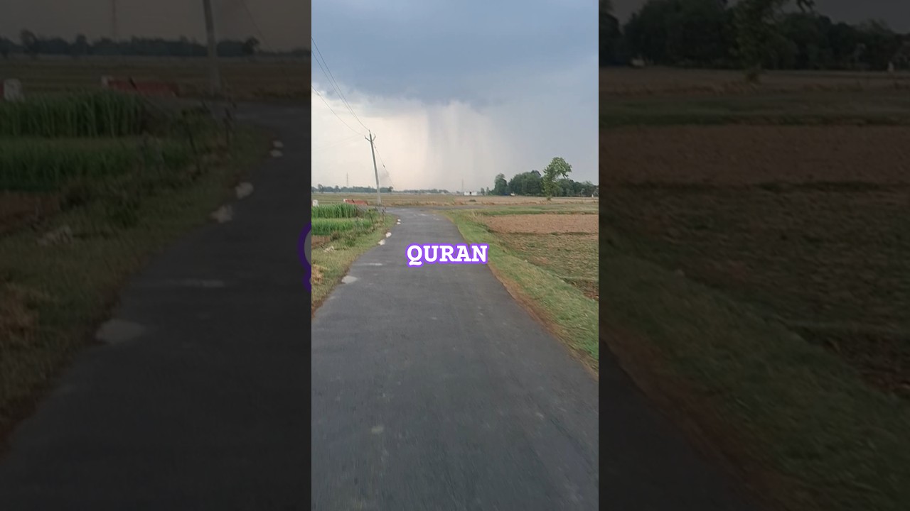 QURAN TRANSLATION #qirat_tilawat #qiran #translation #allah #auat #surah #hidayah #namaz #taqwa