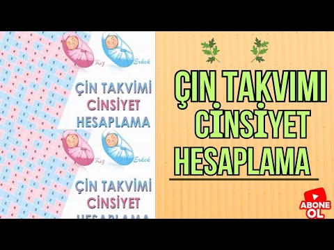 Çin Takvimi Cinsiyet Belirleme 2021