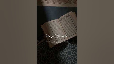 ما تيسر من سوره النحل للشيخ نواف الحنين