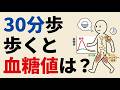 科学的解説：毎日30分歩くと、血糖値はどう変化するのか？ 食後に体内で起きる本当の変化