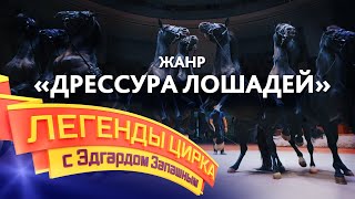 Легенды цирка с Эдгардом Запашным - Жанр «Дрессура лошадей»