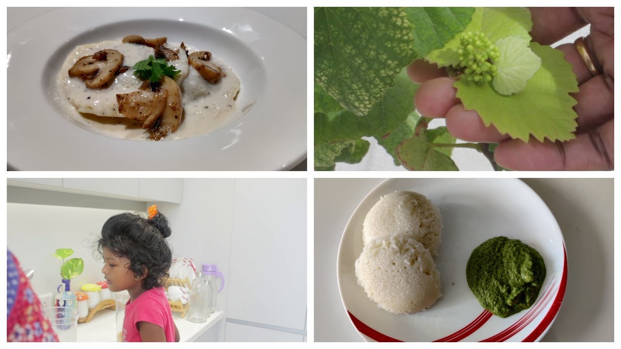 Ravioli Craved food during pregnancy/Mint chutney/Grapes in our