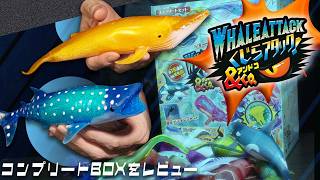 Unboxing the Whale Attack & Co. Complete Set! [DeAGOSTINI] - YouTube