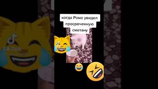 когда кот Рома увидел просроченную сметану 😂😂😂😅