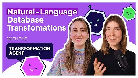 The Transformation Agent: Natural Language Database Transformations