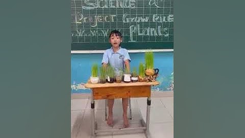 Lớp 3/5 (14/4/2023) - Trường Tiểu học Giồng Ông Tố, Tp Thủ Đức