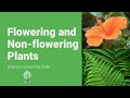 Flowering Versus Non-Flowering Plants: Key Differences and Examples