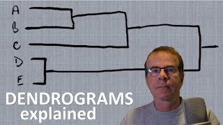 Hierarchical Clustering: DENDROGRAMS - what are they, and how are they used?