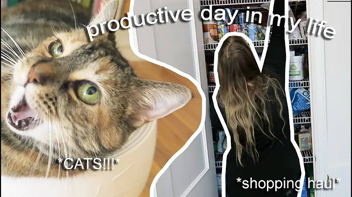 DITL VLOG || Productive day in my life: Grocery ha...