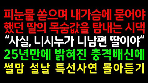 반전실화사연-피눈물 쏟으며 내가슴에 묻어야 했던 딸의 목숨값을 탐내는 시댁 "사실, 니시누가 니남편 딸이야" 25년만에 밝혀진 충격배신에_사연읽어주는여자썰맘 설날특선사연 몰아듣기