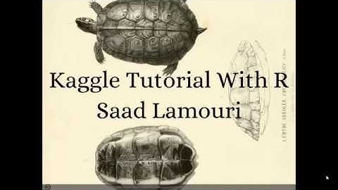 Saad Lamouri: Kaggle Tutorial with R | Introduction to Data Science