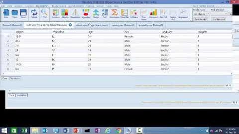 Handling Datasets with Weights