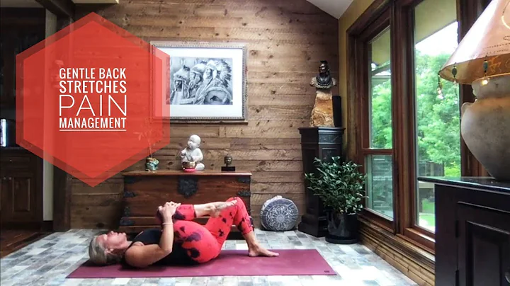 Gentle Back Stretches || 25 Min Pain Management