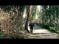 Canada 2015 - Episode 2: Vancouver | Stanley Park