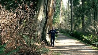 Canada 2015 - Episode 2: Vancouver | Stanley Park