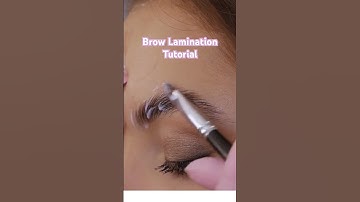 Brow Lamination Transformation #sarahnayloracademy #browstylist #beautybusiness