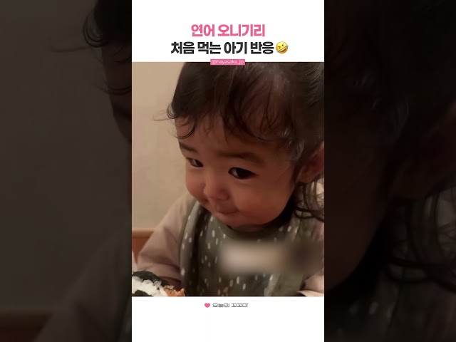 연어 오니기리 처음 먹는 아기 반응????