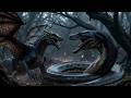 Dragon vs Anaconda Epic Jungle Battle Turns Into Unbreakable Friendship