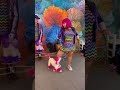 Шоу разноцветных дрессированных пудельков