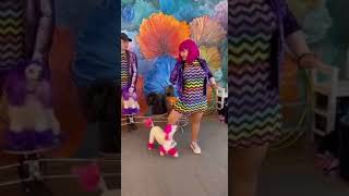 Шоу разноцветных дрессированных пудельков