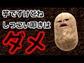 叩きばっかの世の中でも元気になってほしい芋の話│毎日まっとん第1834回