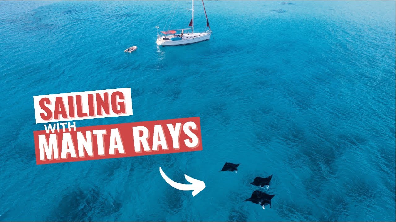 Our new Manta MATES | Ep 90 | Sailing Merewether