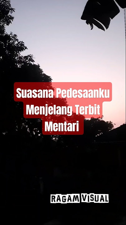 Suasana Desaku Menjelang Terbitnya Mentari Diiringi Nyanyian Burung #alampedesaan #suasanapedesaan