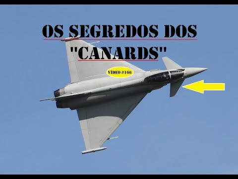 Vídeo: Os canards são mais eficientes?