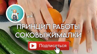 Принцип работы шнековой соковыжималки Bufett