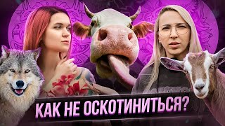 :  ANIMAL.   ?   