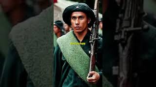 La oscura verdad del Mauser paraguayo
