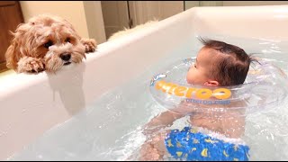 My Dog Worries When My Baby is in the Tub by Olive Joa 17,465 views 1 year ago 7 minutes, 29 seconds