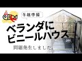 メダカの冬越し準備。ベランダに置ける小型ビニールハウスを購入。しかし、問題が...