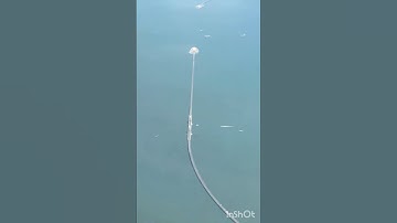 Aerial photography of Hong Kong-Zhuhai-Macao Bridge. China‘s infrastructure is amazing#amazingchina