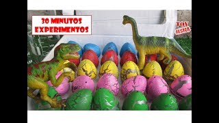 30 Minutos Nuevos Experimentos Caseros con huevos de dinosaurios para niños