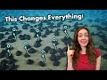 Understanding Oxygen Production and Its Implications