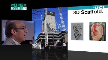 Dr Alexander Seifalian on using nanoparticles to treat cancer | Health | WIRED