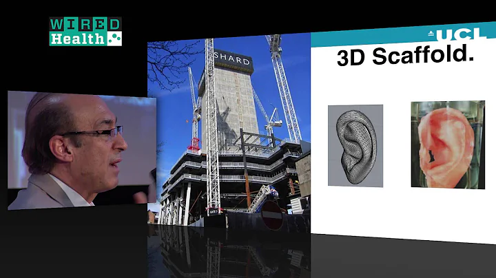 Dr Alexander Seifalian on using nanoparticles to treat cancer | Health | WIRED