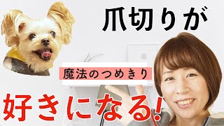 爪切りをジタバタ嫌がっていた愛犬に「魔法の爪切り」をすると、ウットリ顔になりました