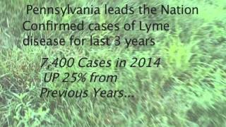 Tick Control Newtown, Yardley, Feasterville, Doylestown PA: How We Treat For Ticks