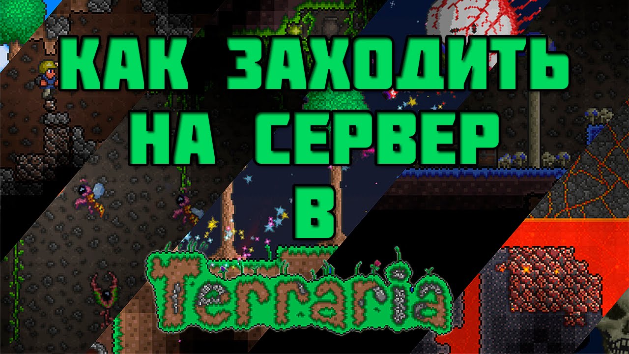 Айпи адрес серверов в террарии. Сервера в террарии. Сервер с мини играми в террарии. IP серверов в террарии. Террария се.