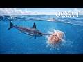 INFINITE OCEAN | The Wild Predators that Dominate the Ocean | Animal Documentary