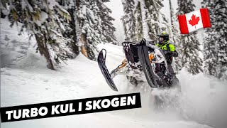 Emil i Kanada | S2EP5 "sjukt fin skogsåkning" | En serie i 5 delar