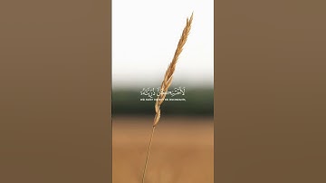 اكتب شيء تؤجر عليه | سورة الإسراء الآية 61-63 القارئ ياسر الدوسري