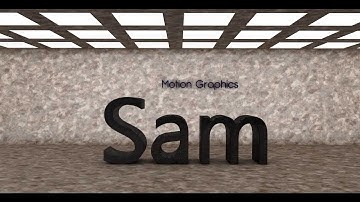 2D & 3D Animation [Sam Guliver]