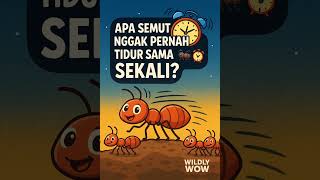 Semut tidak pernah tidur? 🐜✨ #faktaunik #shorts