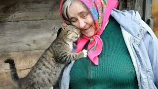 These cats prove every elder should have one by their side 🥰 by Funny And Cute Cat's Life 10,446 views 1 month ago 10 minutes, 49 seconds