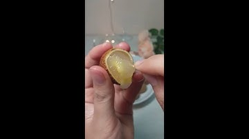 Cách tách bỏ hạt nhãn siêu nhanh