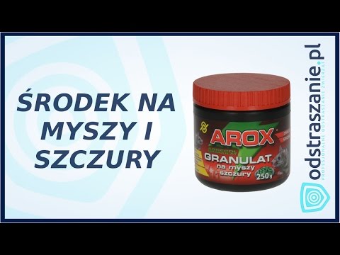 Wideo: Czy w Wielkiej Brytanii mamy szczury dachowe?